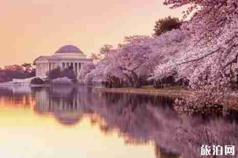 国外哪里的樱花最美+攻略 国外哪里的樱花最美+攻略