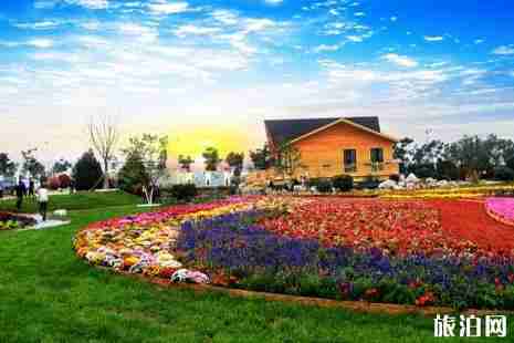 欧洲赏花去哪 2019欧洲赏花踏青地点推荐 欧洲赏花去哪 2019欧洲赏花踏青地点推荐