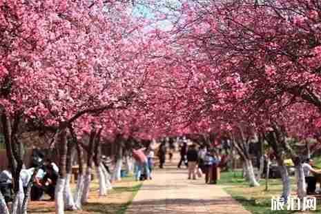 广州清远旅游卡在哪办理 广州清远旅游卡在哪办理