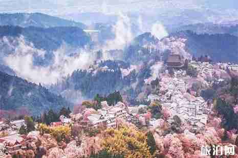 日本十大赏樱胜地