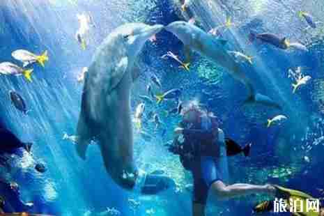 美娜多旅游景点推荐 美娜多旅游景点推荐