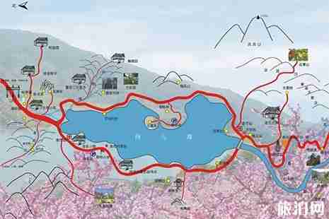 2019米易三花节 时间+活动时间安排 2019米易三花节 时间+活动时间安排