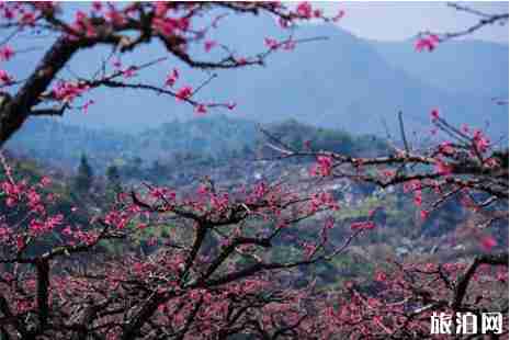 西安浐灞桃花潭公园要门票吗 2019赏花攻略 西安浐灞桃花潭公园要门票吗 2019赏花攻略