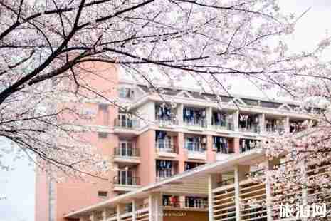 浙江赏樱花的地方推荐 浙江赏樱花的地方推荐