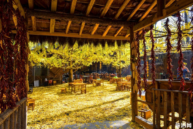 云南旅游必去的景点 云南哪里有好玩的景点 云南旅游必去的景点 云南哪里有好玩的景点
