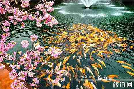 2019广州花朝节 地点+活动流程 2019广州花朝节 地点+活动流程