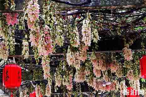 2019广东江门鹤山大雁山花朝节3月17日开启