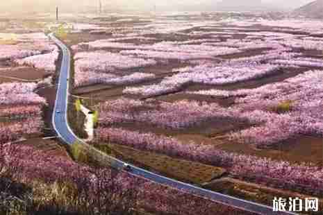 2019雄安哪里可以赏花 雄安赏花地图 2019雄安哪里可以赏花 雄安赏花地图