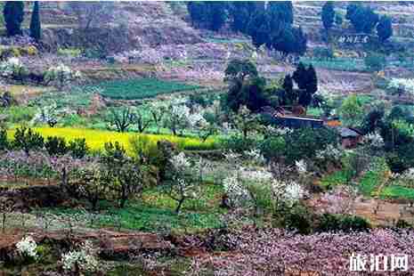 2019广汉周边赏花景点 广汉赏花好去处 2019广汉周边赏花景点 广汉赏花好去处
