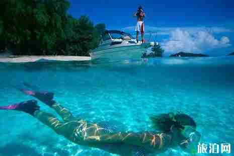 帕劳旅游干货整理 帕劳旅游干货整理