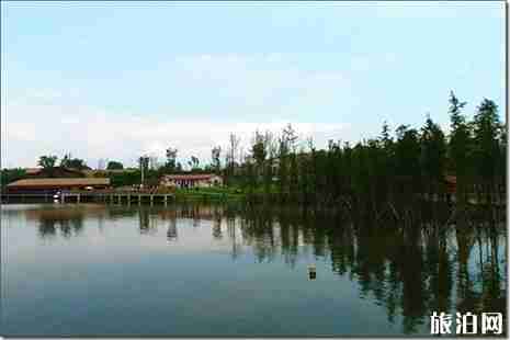 泸州可以烧烤的地方推荐