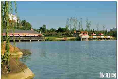 泸州可以烧烤的地方推荐