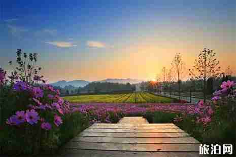 2019龙虎山首届花朝节3月8日至4月15日 2019龙虎山首届花朝节3月8日至4月15日