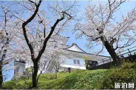 日本动漫赏樱花胜地盘点 日本动漫赏樱花胜地盘点