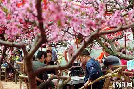 2019龙泉桃花节赏花线路+最佳赏花点 2019龙泉桃花节赏花线路+最佳赏花点