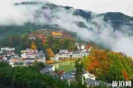 临安哪里春游最好玩 临安哪里春游最好玩