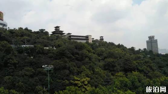 武汉踏青好去处 2019武汉免费旅游景点 武汉踏青好去处 2019武汉免费旅游景点