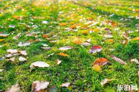 武汉踏青好去处 2019武汉免费旅游景点 武汉踏青好去处 2019武汉免费旅游景点