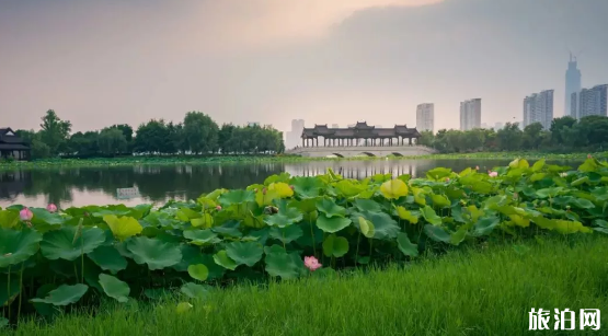 武汉踏青好去处 2019武汉免费旅游景点 武汉踏青好去处 2019武汉免费旅游景点