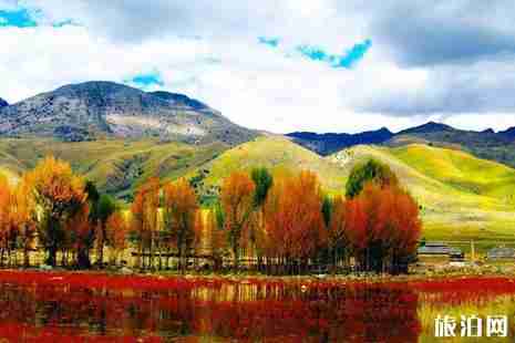 稻城机场到亚丁景区怎么坐车+沿途景点介绍 稻城机场到亚丁景区怎么坐车+沿途景点介绍