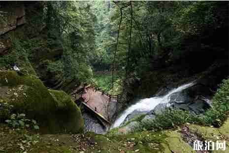 雅安最值得去的地方 雅安最值得去的地方