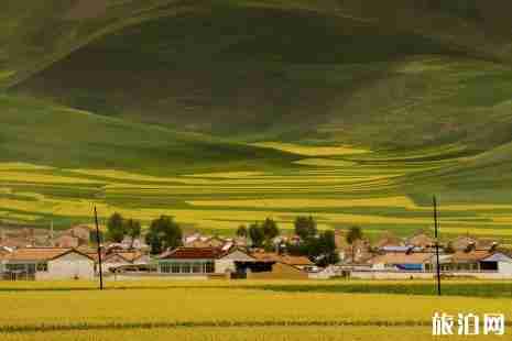 青海自驾游最佳路线 青海湖拍照穿什么好看 青海自驾游最佳路线 青海湖拍照穿什么好看