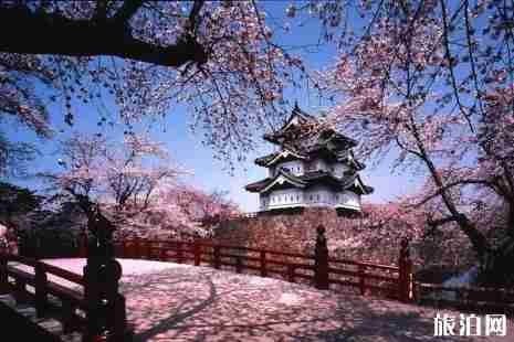 日本赏樱路线2019 日本赏樱路线2019