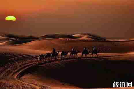 沙坡头有什么好玩的项目