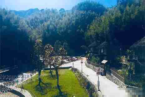 2019宜春樱花谷樱花节门票 2019宜春樱花谷樱花节门票