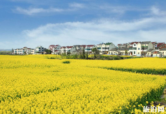 2019年汉中油菜花观赏期+观赏路线+免票政策 2019年汉中油菜花观赏期+观赏路线+免票政策