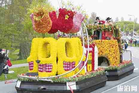 2019荷兰花海郁金香开放活动攻略 2019荷兰花海郁金香开放活动攻略
