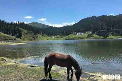 2019年春季新疆门票优惠政策整理 2019年春季新疆门票优惠政策整理