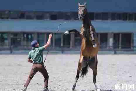 2019年春季新疆门票优惠政策整理 2019年春季新疆门票优惠政策整理