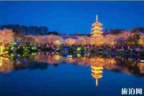 2019武汉东湖樱花节攻略 2019武汉东湖樱花节攻略