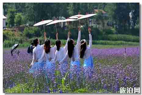 丹江口适合烧烤的景区 丹江口适合烧烤的景区