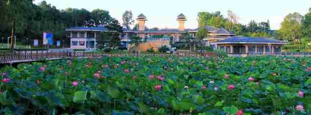 2018年武汉景区门票价格大全 武汉所有景区门票一览