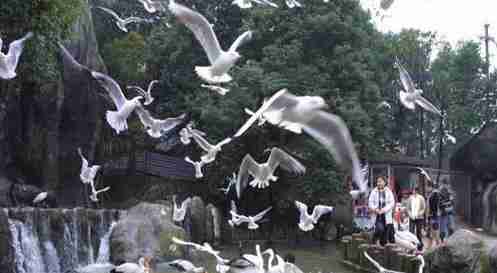 2018年武汉景区门票价格大全 武汉所有景区门票一览