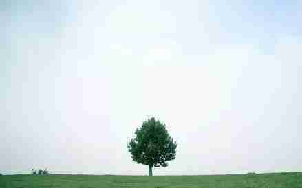 南京周末一日游免費(fèi)景點(diǎn)有哪些