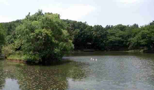 南京周末一日游免費(fèi)景點(diǎn)有哪些