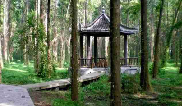 南京周末一日游免費(fèi)景點(diǎn)有哪些