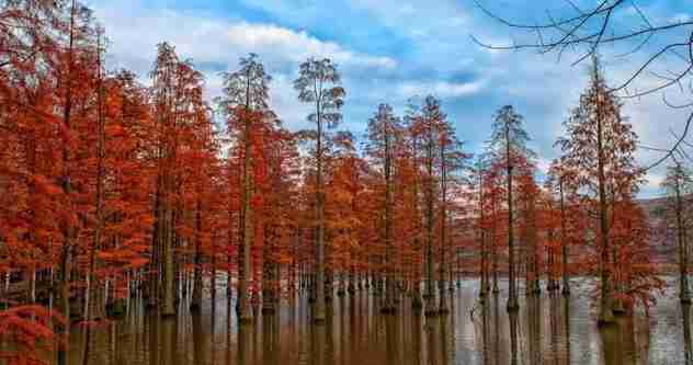 南京周末一日游免費(fèi)景點(diǎn)有哪些