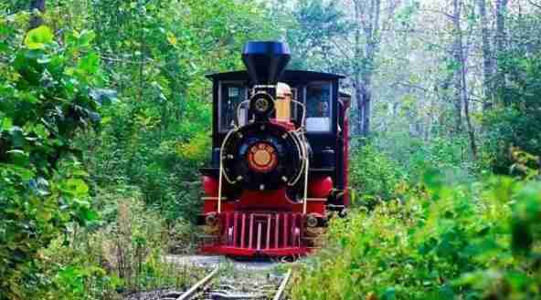 南京周末一日游免費(fèi)景點(diǎn)有哪些