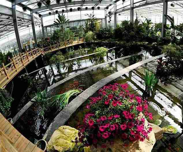 南京周末一日游免費(fèi)景點(diǎn)有哪些