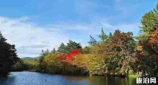 輕井澤在日本哪里 日本輕井澤旅游介紹