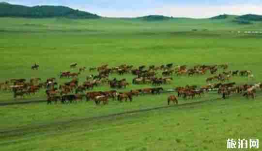 內蒙古最美的地方有哪些 內蒙古最美的地方介紹 內蒙古最美的地方有哪些 內蒙古最美的地方介紹