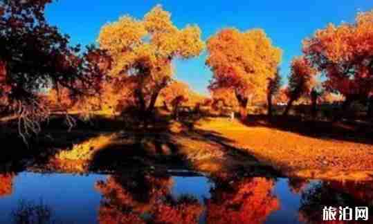 內蒙古最美的地方有哪些 內蒙古最美的地方介紹 內蒙古最美的地方有哪些 內蒙古最美的地方介紹