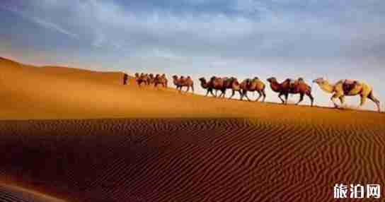 內蒙古最美的地方有哪些 內蒙古最美的地方介紹 內蒙古最美的地方有哪些 內蒙古最美的地方介紹