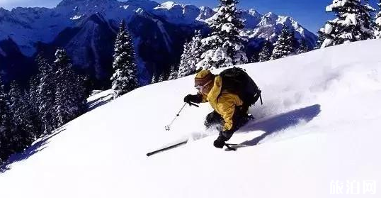 神龍架必去的景點推薦