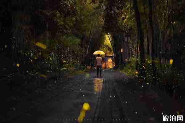 杭州哪里可以看萤火虫