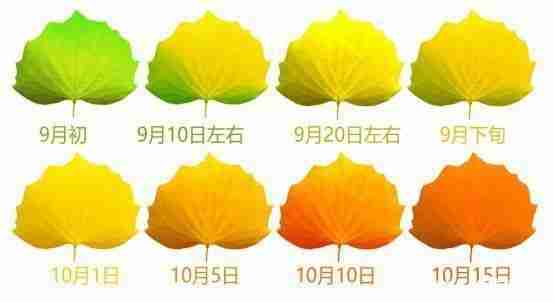 額濟納旗看胡楊林最佳時間+穿衣指南 額濟納旗看胡楊林最佳時間+穿衣指南